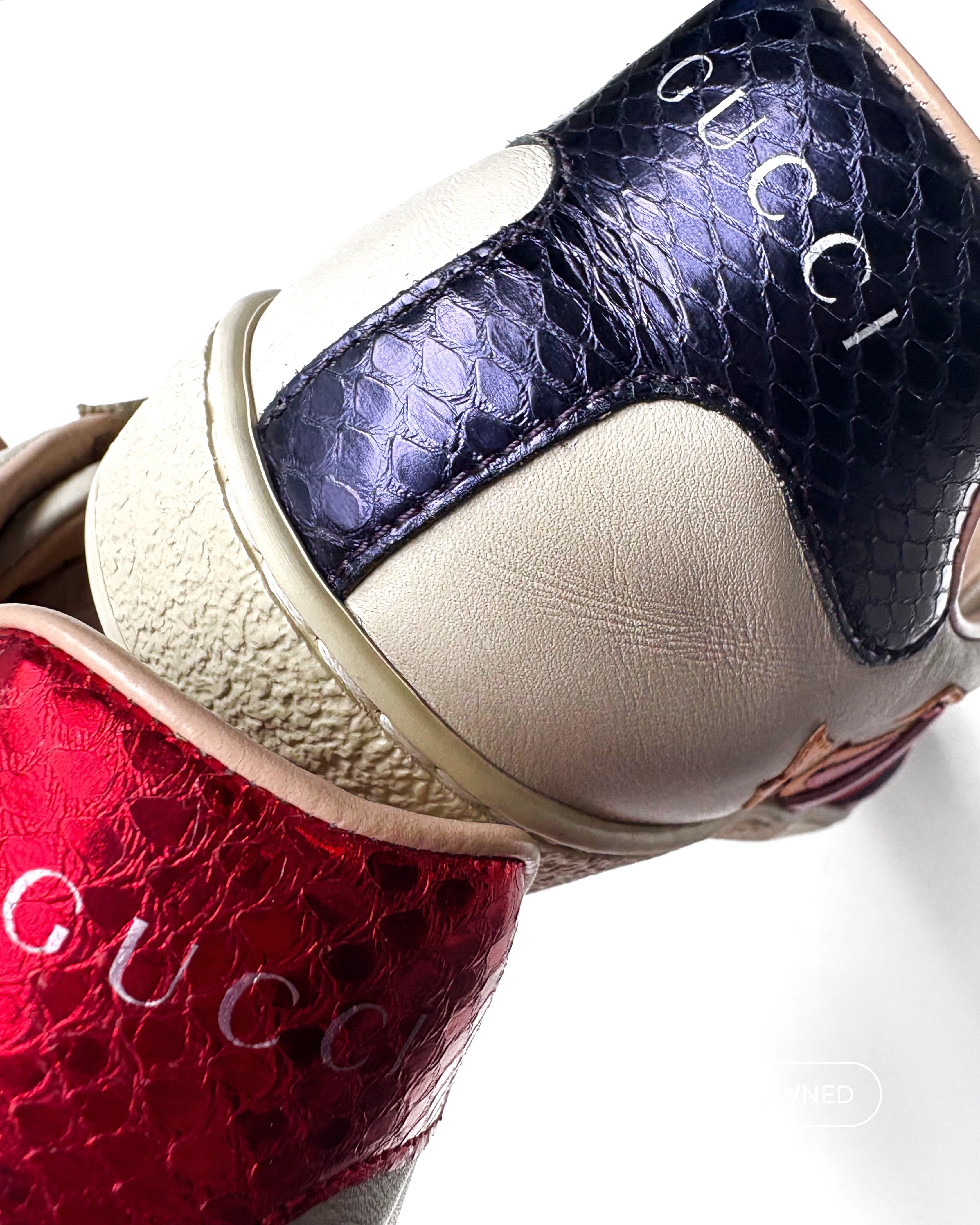 Tenis GUCCI
