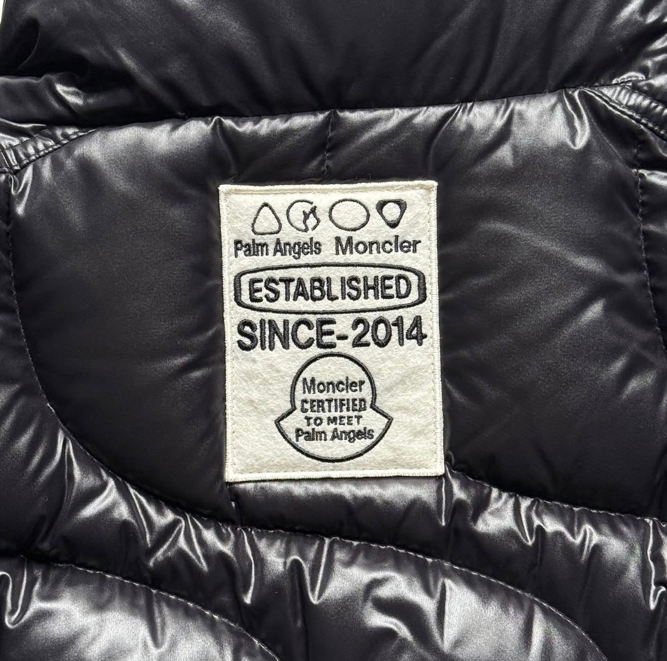 Chaqueta MONCLER x PALM ANGELS