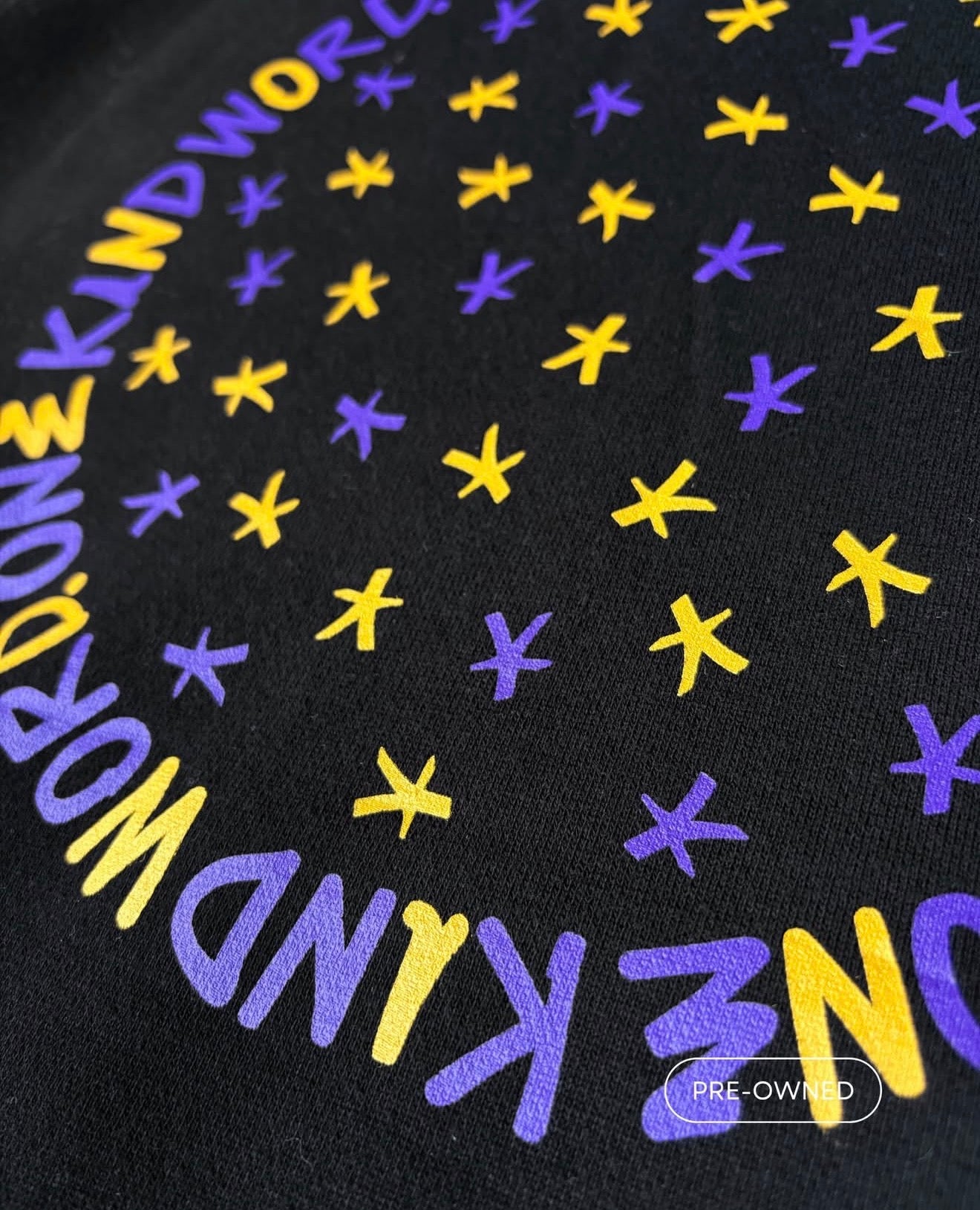 Hoodie SACAI