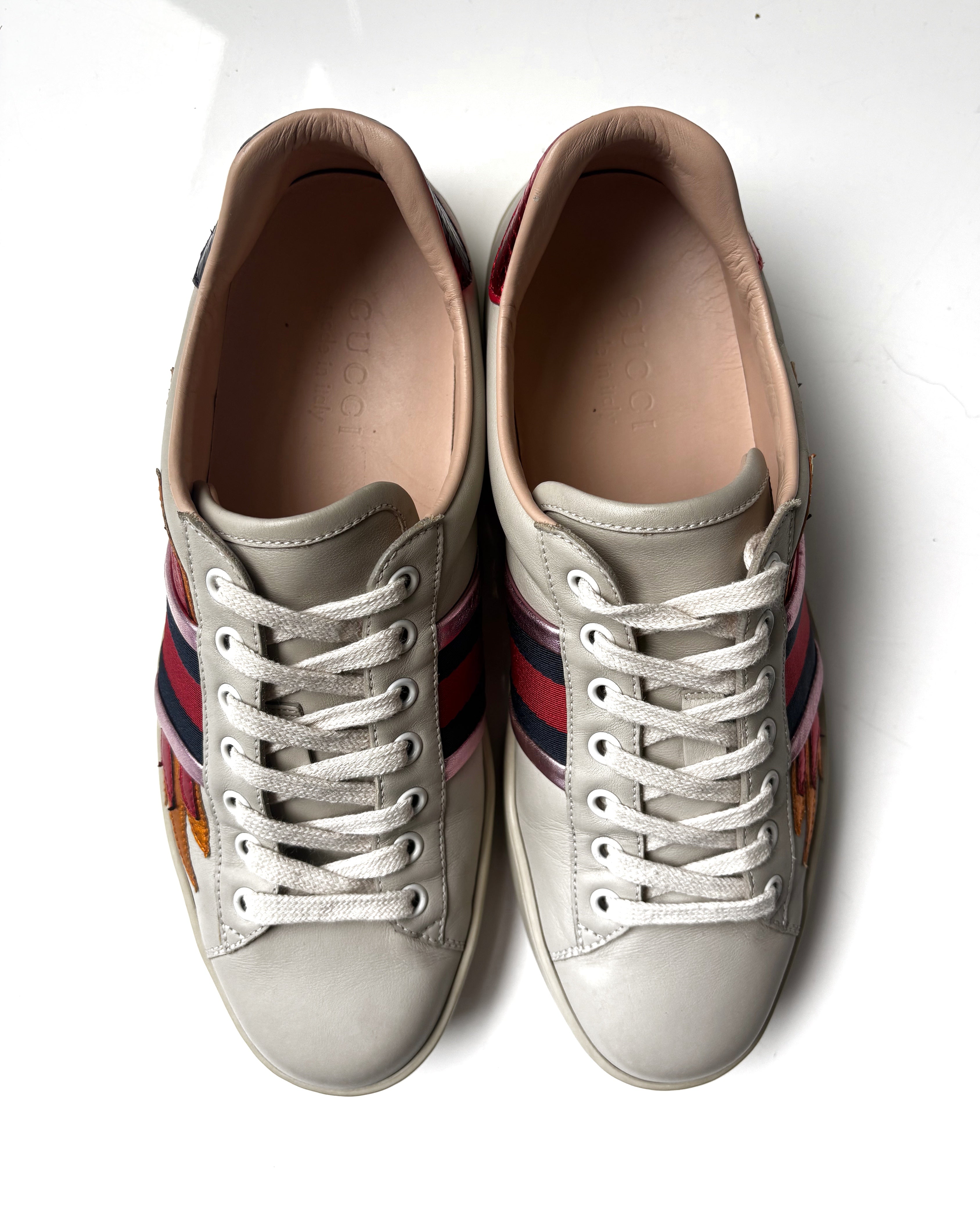 Tenis GUCCI