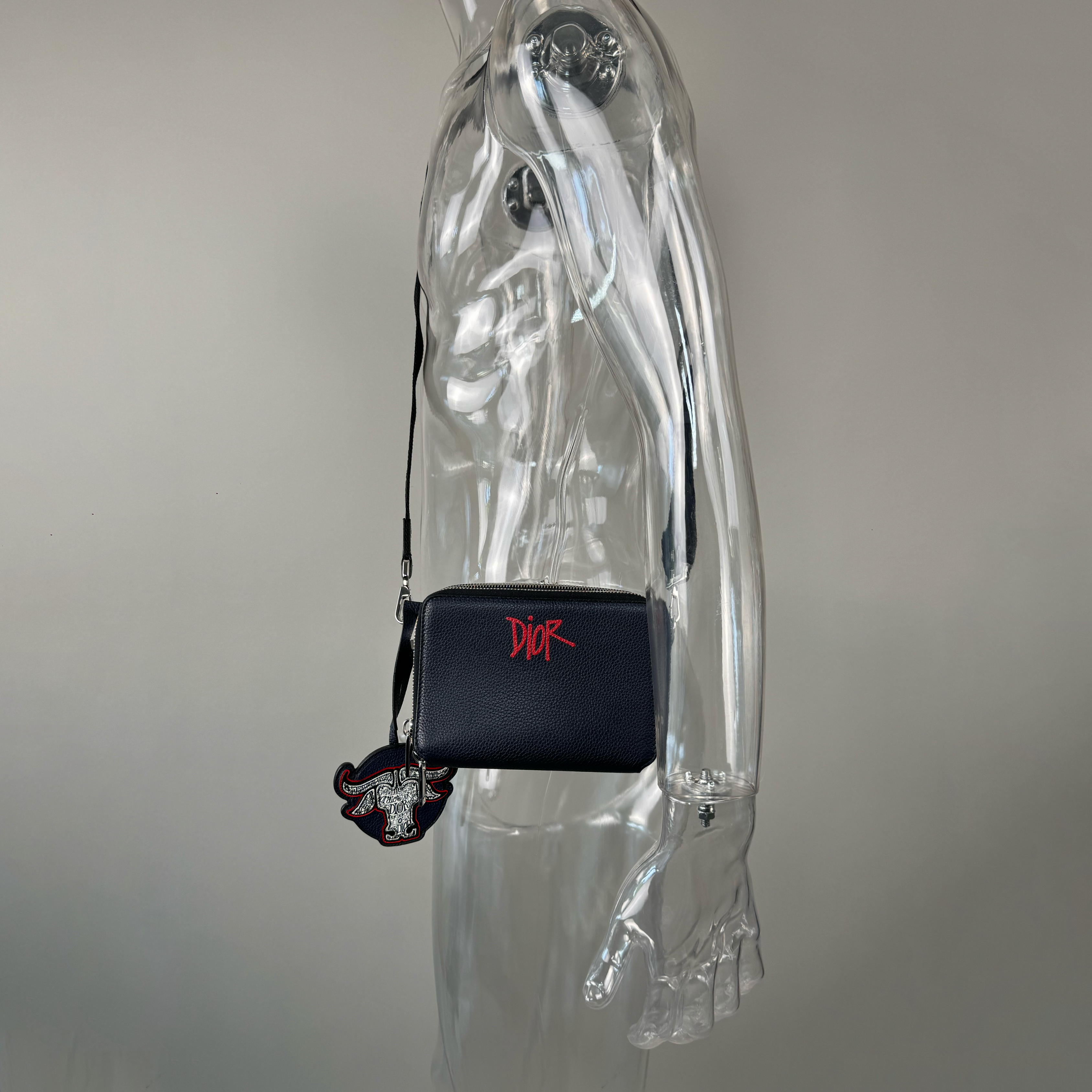 Crossbody DIOR