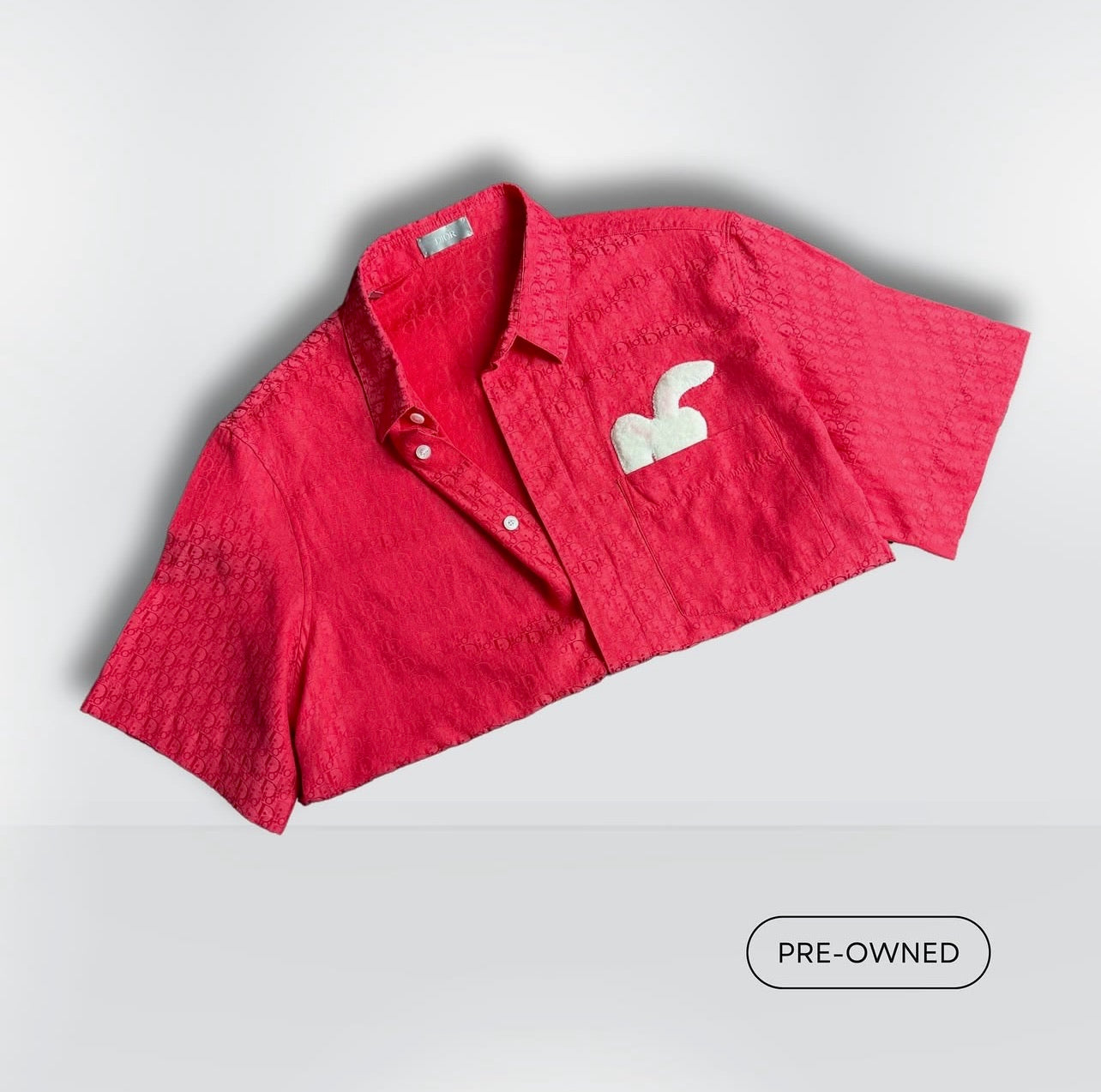 Camisa DIOR x ERL