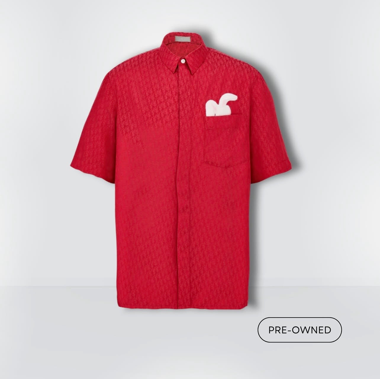 Camisa DIOR x ERL
