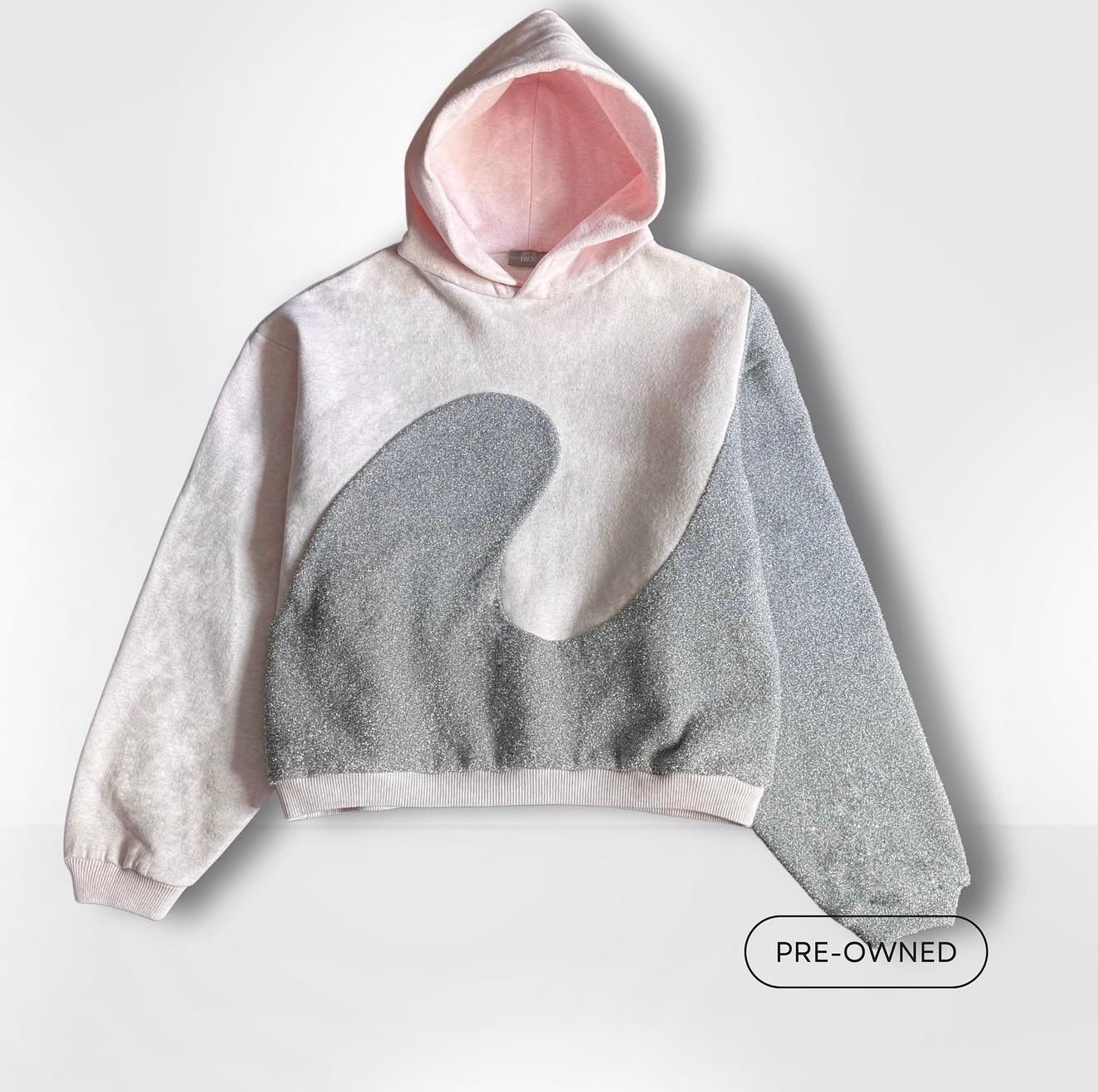 Hoodie DIOR x ERL