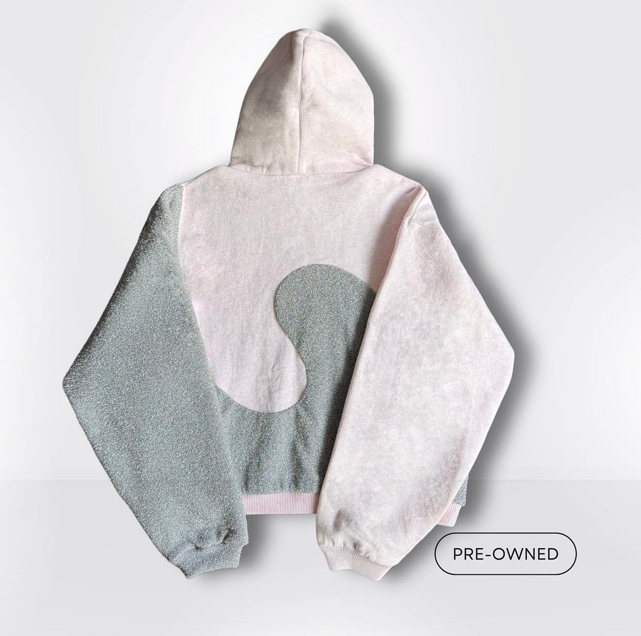 Hoodie DIOR x ERL