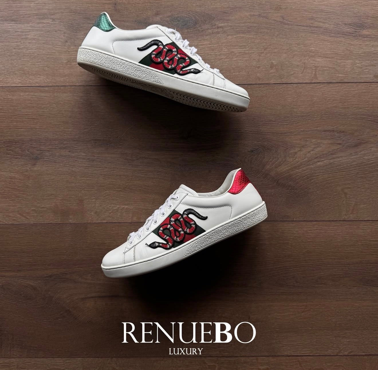 Tenis GUCCI
