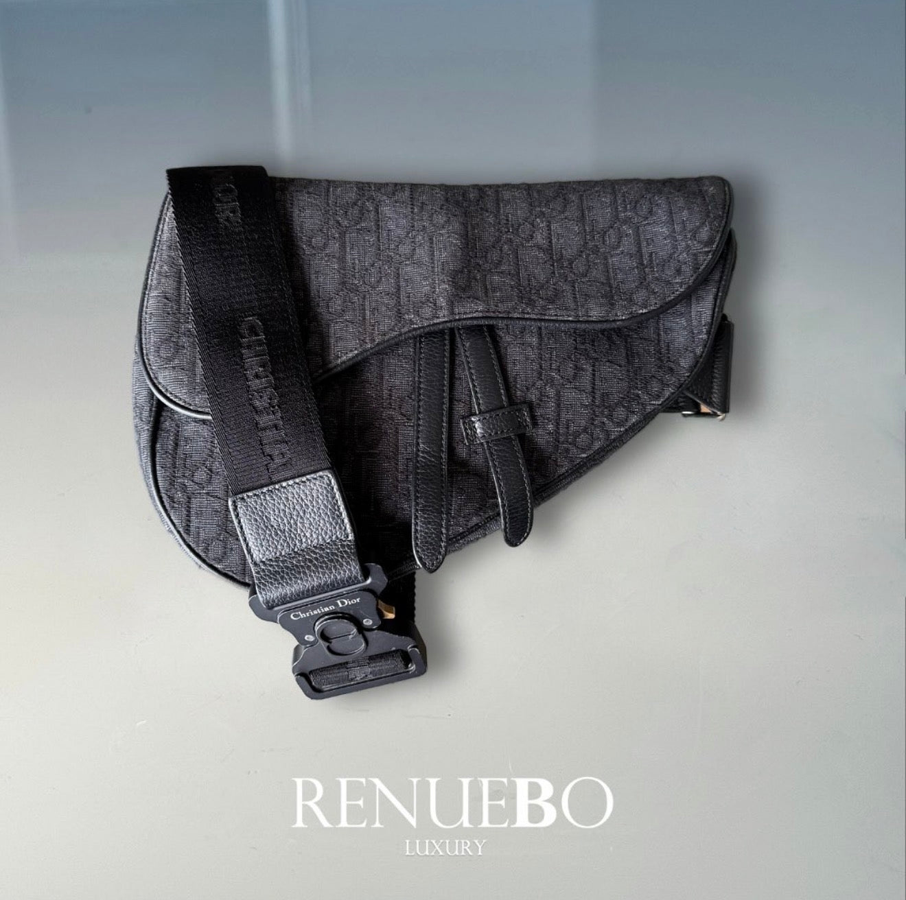 Saddle bag DIOR