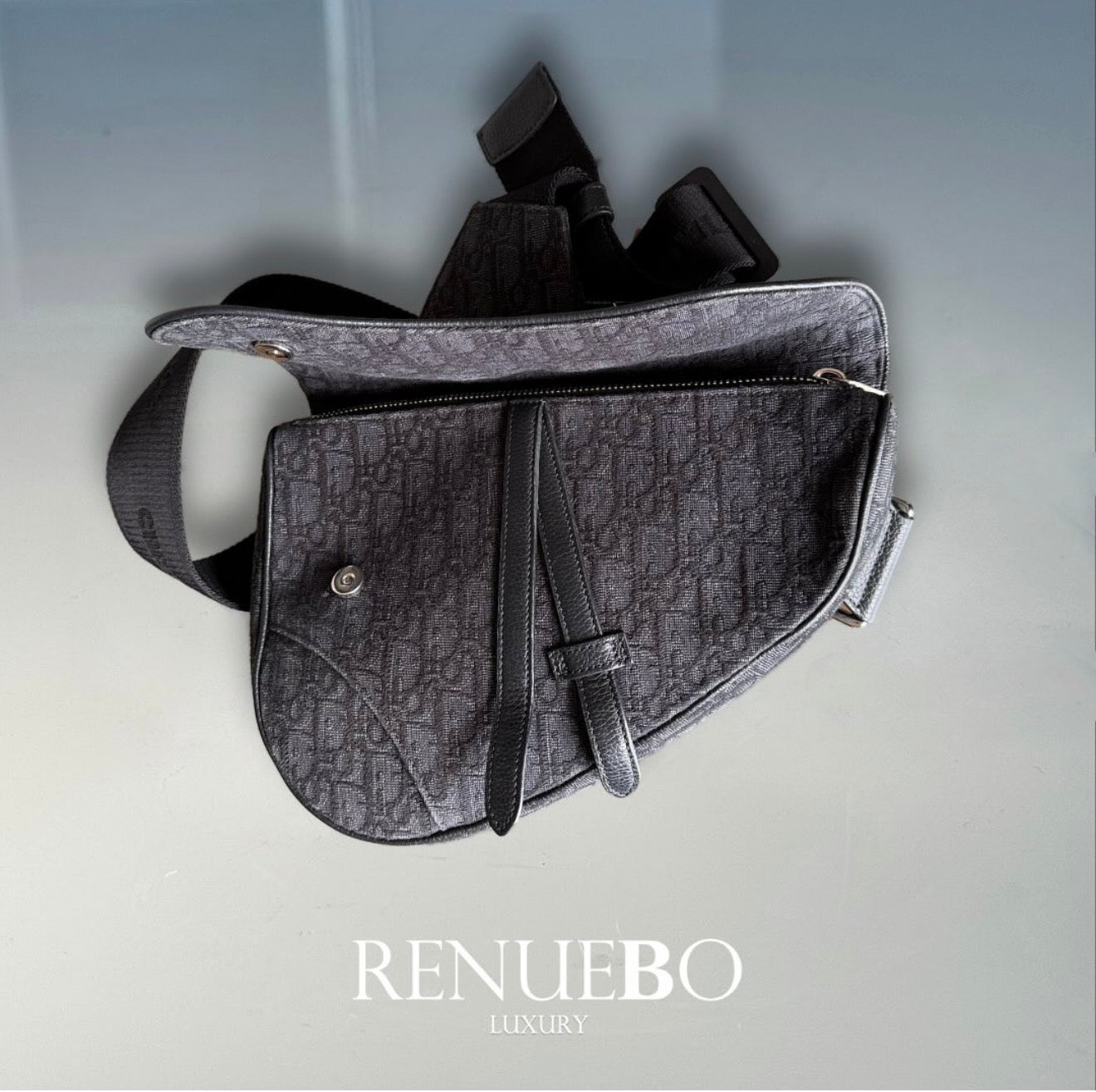 Saddle bag DIOR