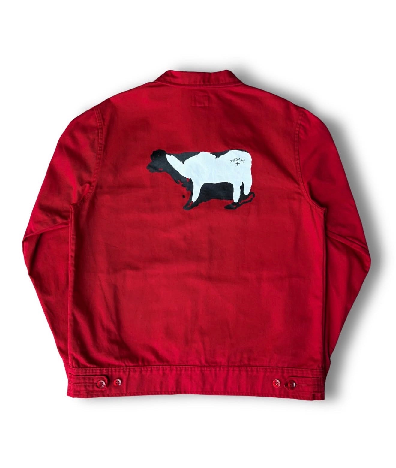 Chaqueta NOAH